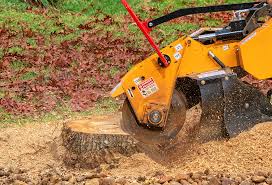Best Tree Preservation Services  in Stirling, NJ